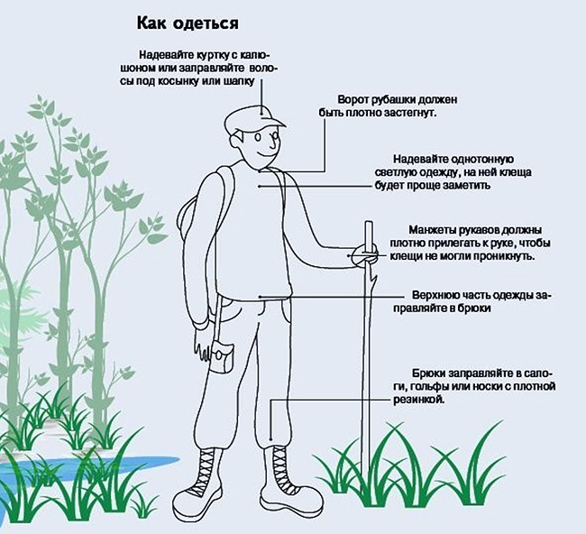 Comment s'habiller pour se protéger des tiques en forêt Comment s'habiller pour se protéger des tiques en forêt