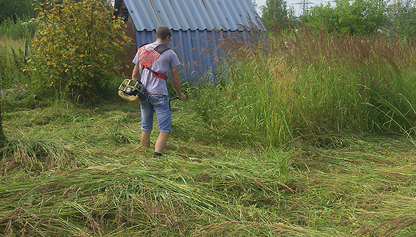 Avant le traitement, il est utile de tondre l'herbe sur votre terrain. Avant le traitement, il est utile de tondre l'herbe sur votre terrain.