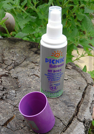 Picnic Extreme Picnic Extreme