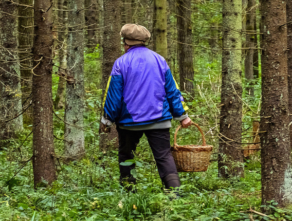 Tenue appropriée pour une randonnée en forêt