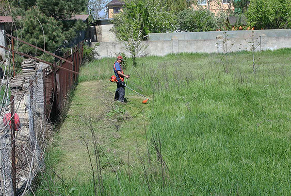 Après la tonte, l'herbe doit être retirée de la zone avant le traitement du terrain.